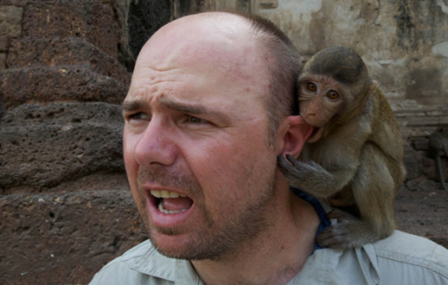 karl pilkington monkey