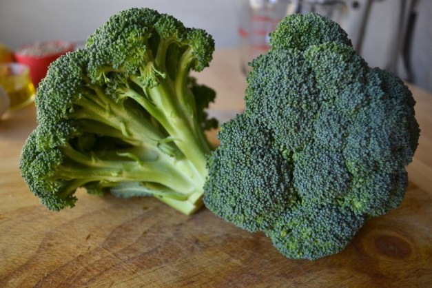 broccoli.jpeg