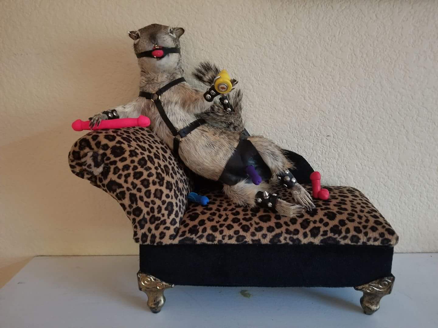 squirrel fetish.jpg