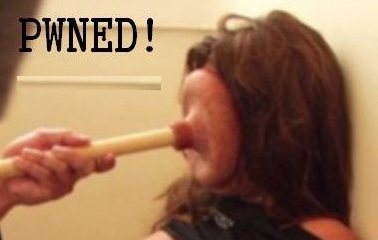 pwned_plunger_20090902_2064324488.jpg