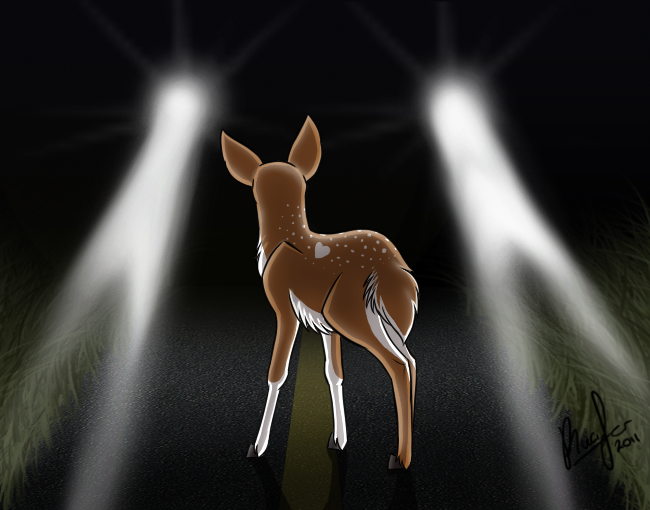 deer_in_the_headlights_by_intellectual panda.png
